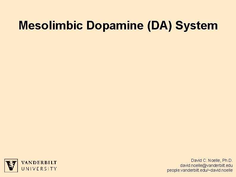 Mesolimbic Dopamine (DA) System David C. Noelle, Ph. D. david. noelle@vanderbilt. edu people. vanderbilt.