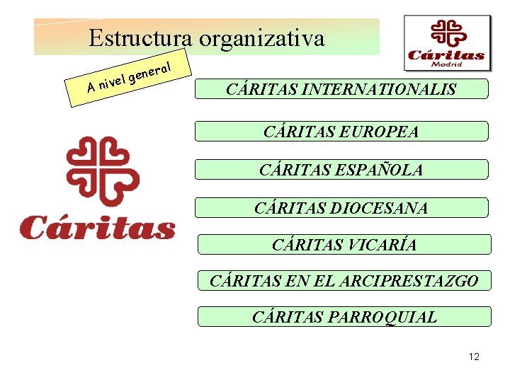 Estructura organizativa l An era n e g ivel CÁRITAS INTERNATIONALIS CÁRITAS EUROPEA CÁRITAS
