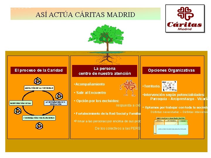 ASÍ ACTÚA CÁRITAS MADRID El proceso de la Caridad La persona centro de nuestra