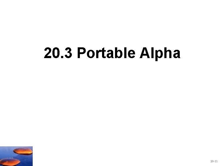 20. 3 Portable Alpha 20 -11 