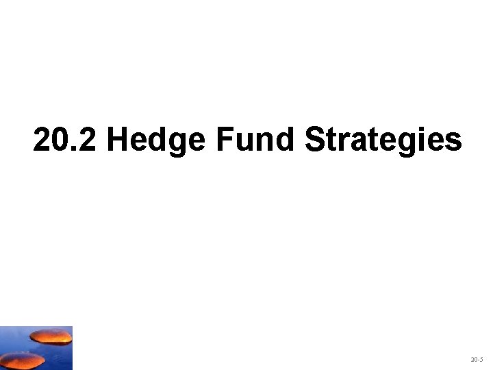 20. 2 Hedge Fund Strategies 20 -5 