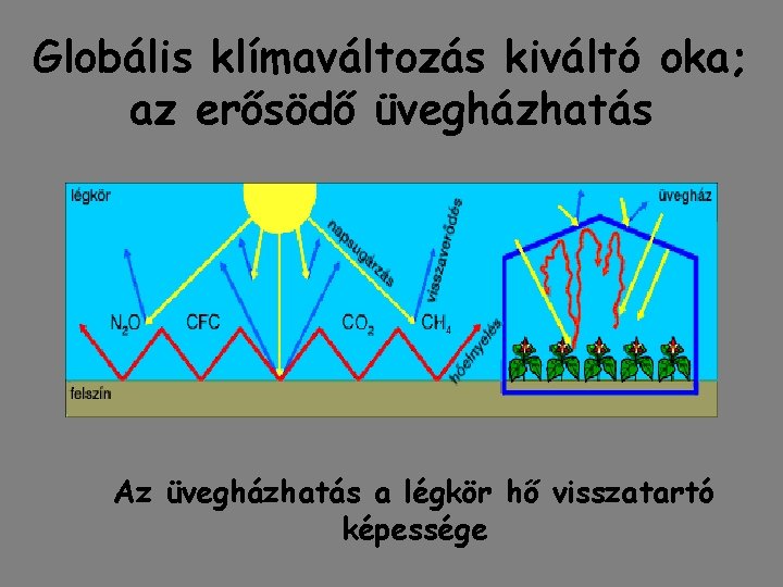 Globális klímaváltozás kiváltó oka; az erősödő üvegházhatás Az üvegházhatás a légkör hő visszatartó képessége