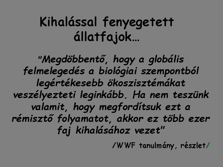 Kihalással fenyegetett állatfajok… "Megdöbbentő, hogy a globális felmelegedés a biológiai szempontból legértékesebb ökoszisztémákat veszélyezteti