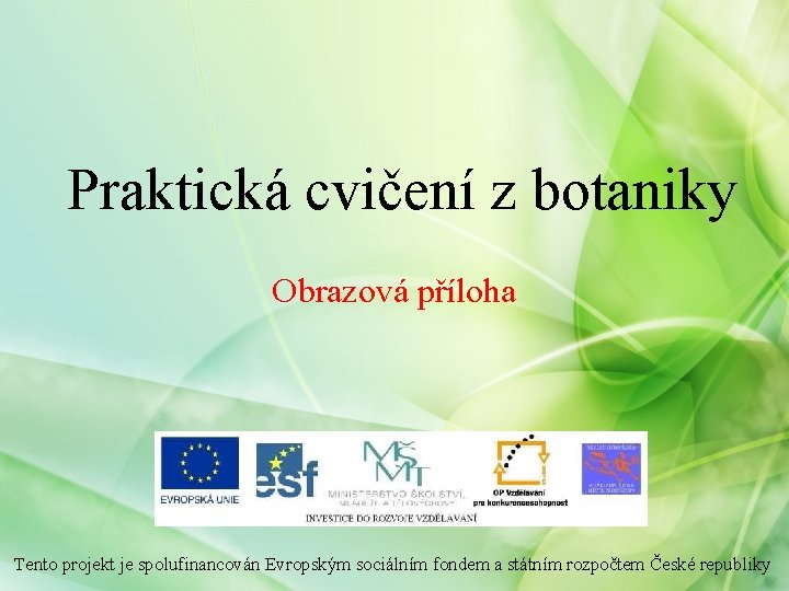 Praktická cvičení z botaniky Obrazová příloha Tento projekt je spolufinancován Evropským sociálním fondem a