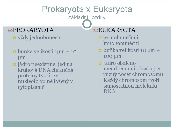 Prokaryota x Eukaryota základní rozdíly PROKARYOTA vždy jednobuněční buňka velikosti 1μm – 10 μm