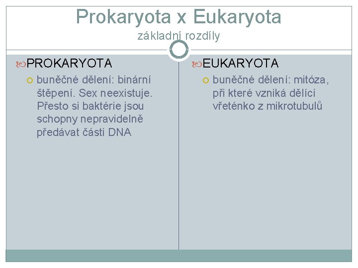 Prokaryota x Eukaryota základní rozdíly PROKARYOTA buněčné dělení: binární štěpení. Sex neexistuje. Přesto si