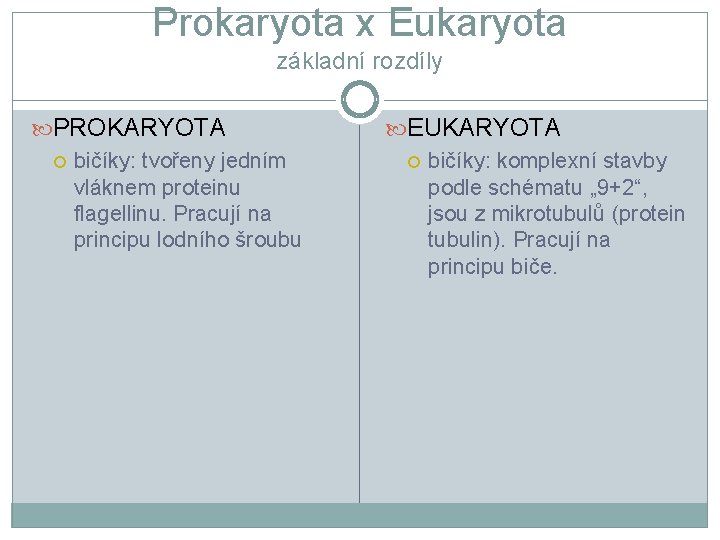 Prokaryota x Eukaryota základní rozdíly PROKARYOTA bičíky: tvořeny jedním vláknem proteinu flagellinu. Pracují na