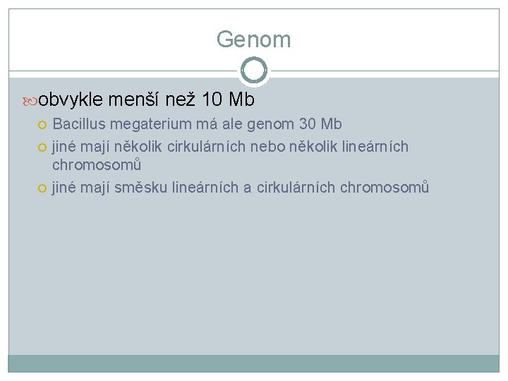 Genom obvykle menší než 10 Mb Bacillus megaterium má ale genom 30 Mb jiné