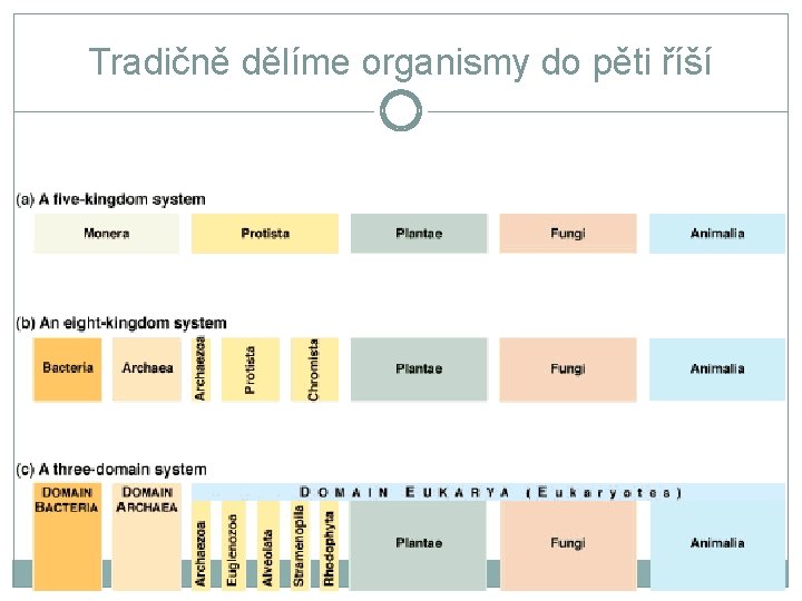 Tradičně dělíme organismy do pěti říší 