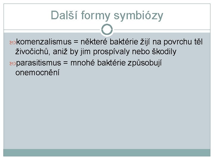 Další formy symbiózy komenzalismus = některé baktérie žijí na povrchu těl živočichů, aniž by