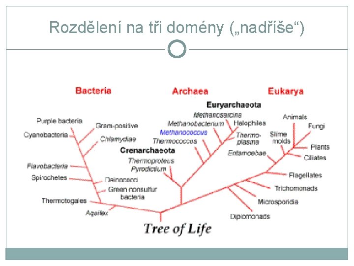 Rozdělení na tři domény („nadříše“) 