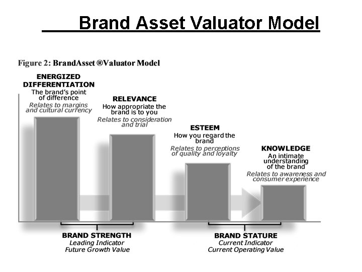 Brand Asset Valuator Model 