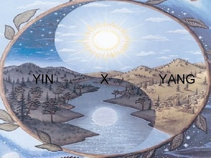 YIN X YANG 