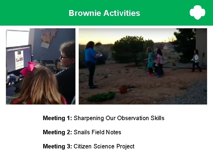 Brownie Activities Meeting 1: Sharpening Our Observation Skills Meeting 2: Snails Field Notes Meeting Brownie Activities Meeting 1: Sharpening Our Observation Skills Meeting 2: Snails Field Notes Meeting