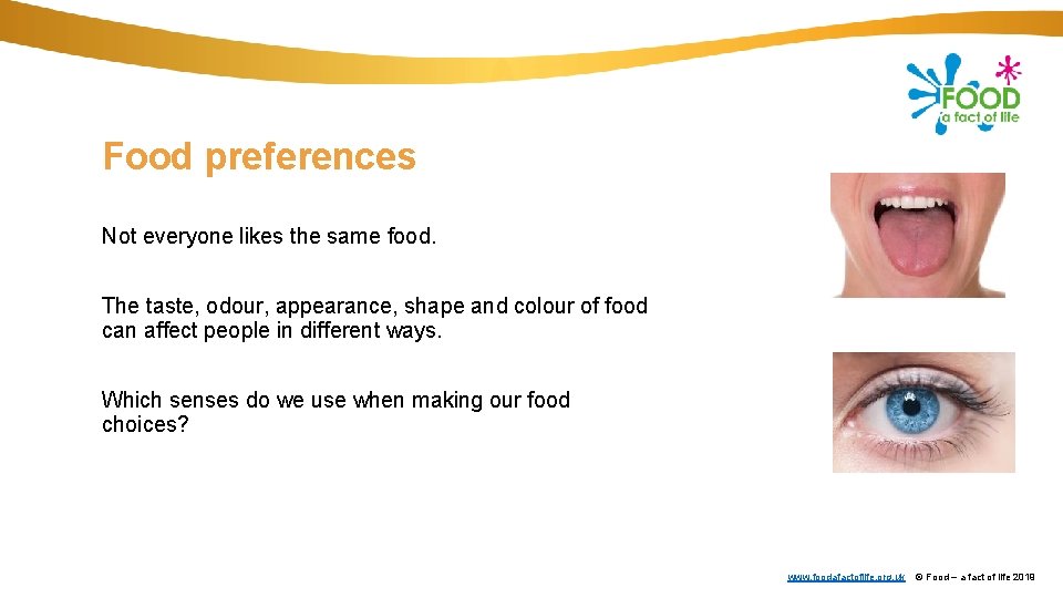 Food preferences Not everyone likes the same food. The taste, odour, appearance, shape and