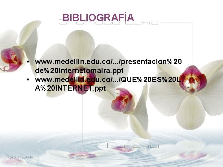 BIBLIOGRAFÍA • www. medellin. edu. co/. . . /presentacion%20 de%20 internetomaira. ppt • www.