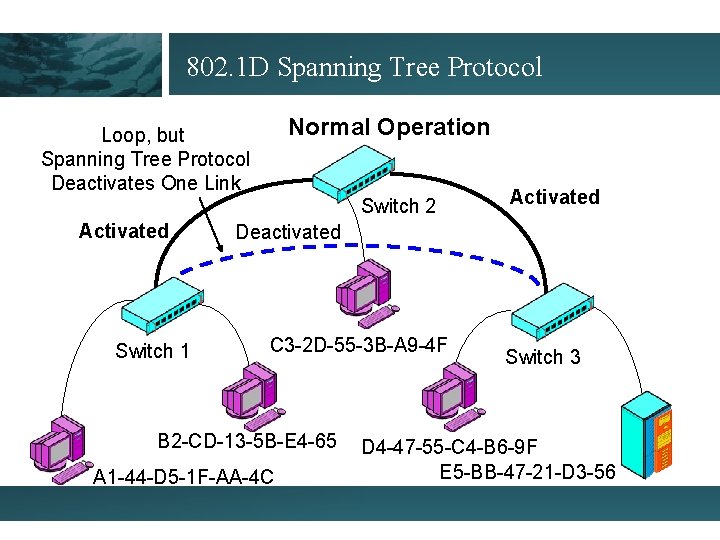 802. 1 D Spanning Tree Protocol Normal Operation Loop, but Spanning Tree Protocol Deactivates