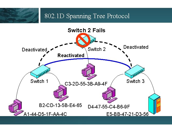 802. 1 D Spanning Tree Protocol Switch 2 Fails Deactivated Switch 2 Deactivated Reactivated