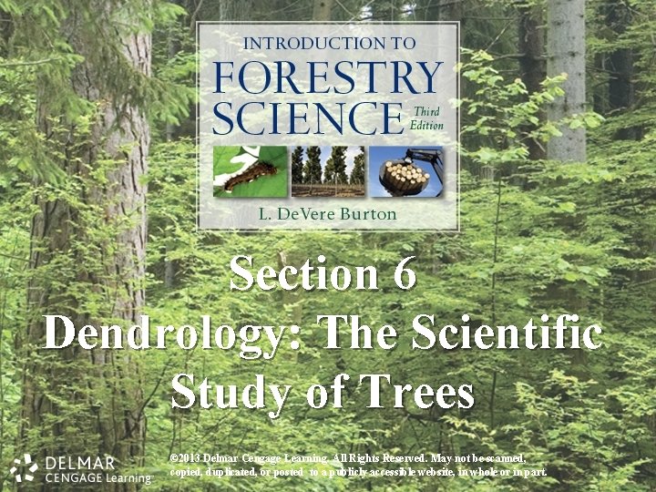Section 6 Dendrology: The Scientific Study of Trees © 2013 Delmar Cengage Learning. All