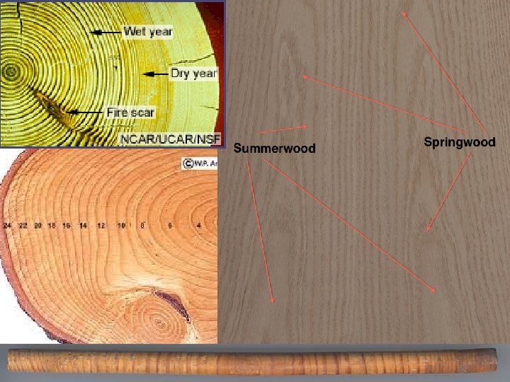 © 2013 Delmar Cengage Learning. All Rights Reserved. May not be scanned, copied, duplicated,