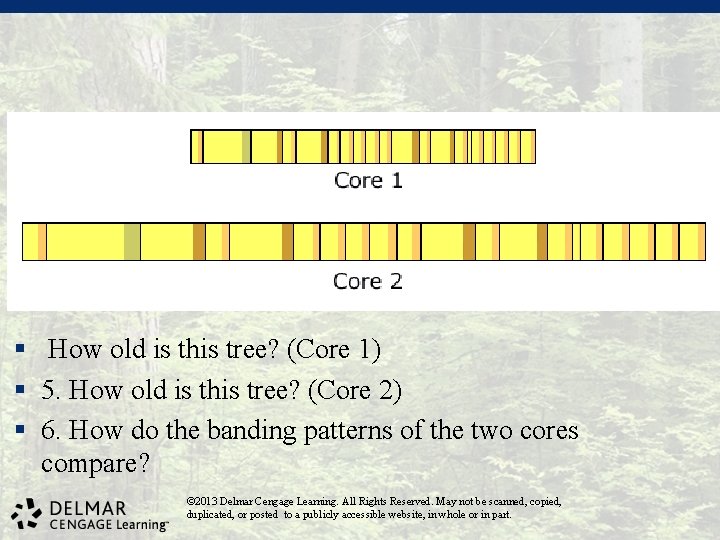 § How old is this tree? (Core 1) § 5. How old is this