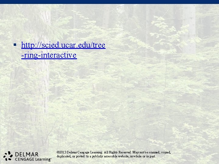 § http: //scied. ucar. edu/tree -ring-interactive © 2013 Delmar Cengage Learning. All Rights Reserved.