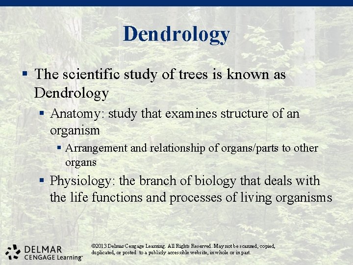 Dendrology § The scientific study of trees is known as Dendrology § Anatomy: study