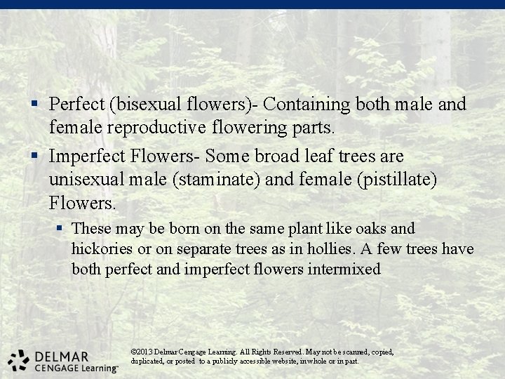 § Perfect (bisexual flowers)- Containing both male and female reproductive flowering parts. § Imperfect