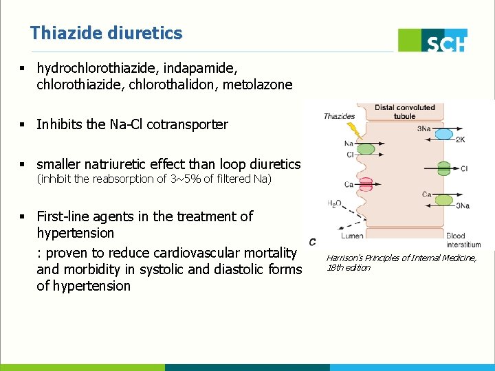 Thiazide diuretics § hydrochlorothiazide, indapamide, chlorothiazide, chlorothalidon, metolazone § Inhibits the Na-Cl cotransporter §