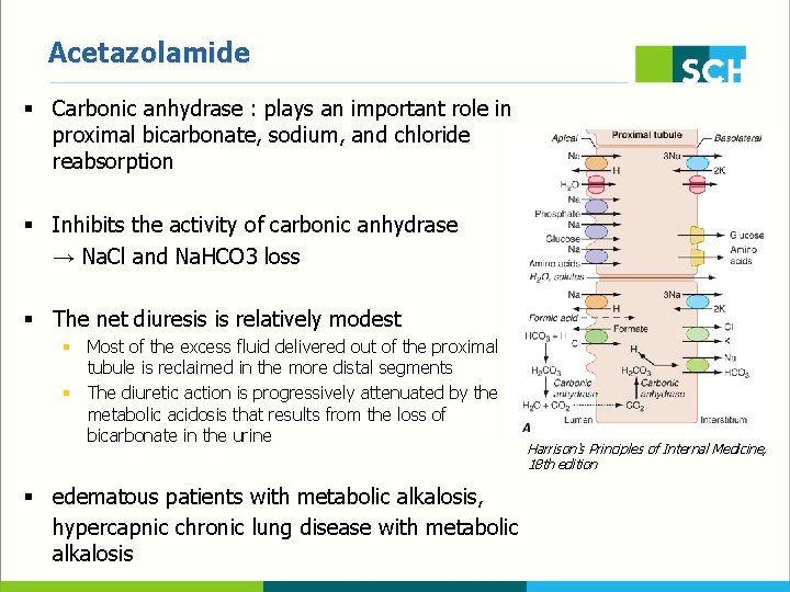 Acetazolamide § Carbonic anhydrase : plays an important role in proximal bicarbonate, sodium, and