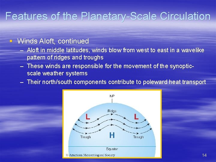 Features of the Planetary-Scale Circulation § Winds Aloft, continued – Aloft in middle latitudes,