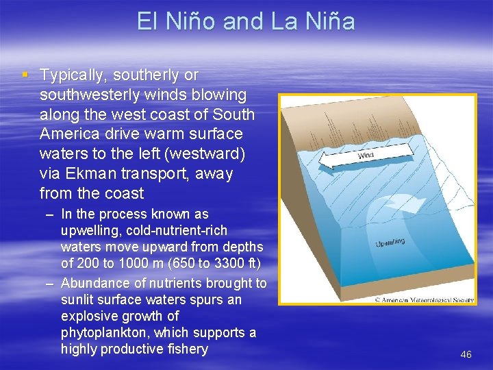 El Niño and La Niña § Typically, southerly or southwesterly winds blowing along the