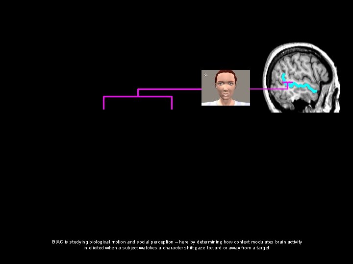 BIAC is studying biological motion and social perception – here by determining how context