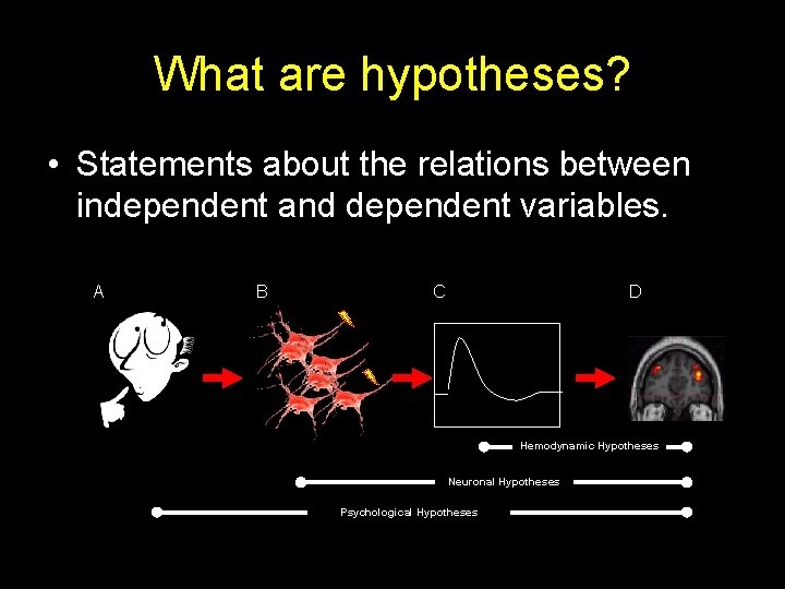 What are hypotheses? • Statements about the relations between independent and dependent variables. A