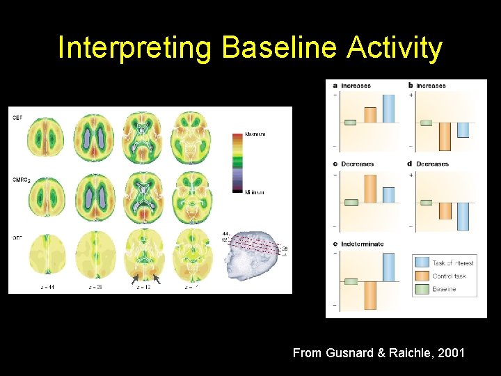 Interpreting Baseline Activity From Gusnard & Raichle, 2001 