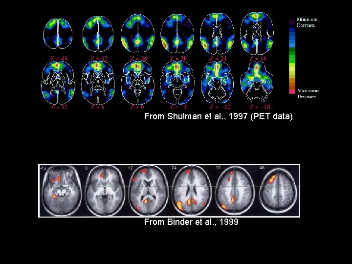 From Shulman et al. , 1997 (PET data) From Binder et al. , 1999