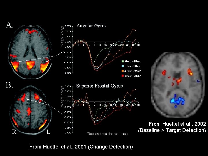 From Huettel et al. , 2002 (Baseline > Target Detection) From Huettel et al.