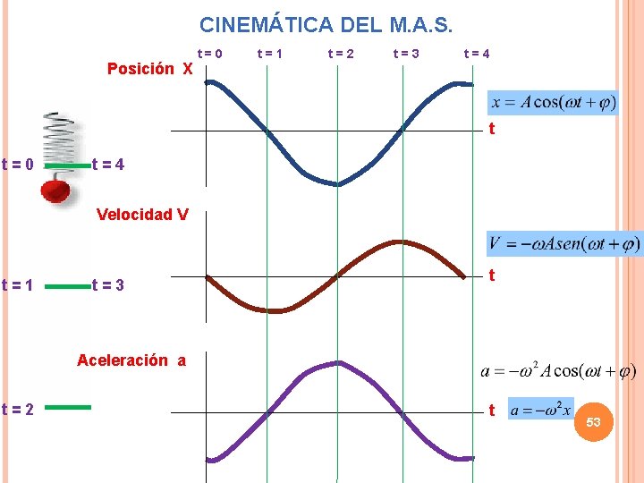 CINEMÁTICA DEL M. A. S. Posición X t=0 t=1 t=2 t=3 t=4 t t=0