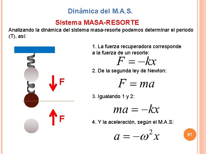 Dinámica del M. A. S. Sistema MASA-RESORTE Analizando la dinámica del sistema masa-resorte podemos