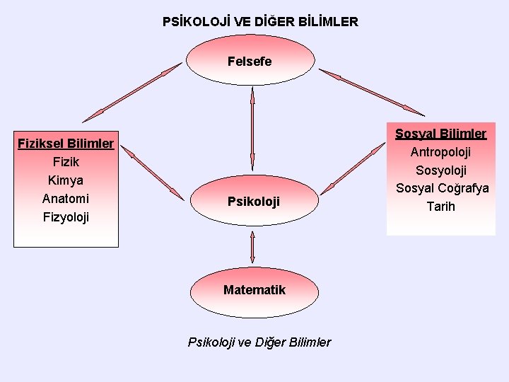 PSİKOLOJİ VE DİĞER BİLİMLER Felsefe Fiziksel Bilimler Fizik Kimya Anatomi Fizyoloji Psikoloji Matematik Psikoloji