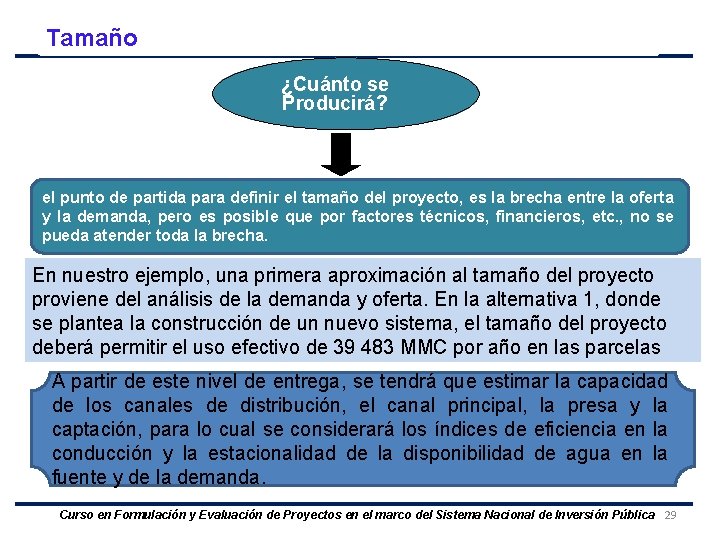 Tamaño ¿Cuánto se Producirá? el punto de partida para definir el tamaño del proyecto,