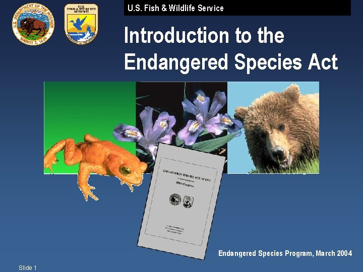 U. S. Fish & Wildlife Service Introduction to the Endangered Species Act Endangered Species