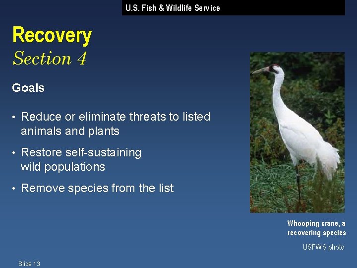 U. S. Fish & Wildlife Service Recovery Section 4 Goals • Reduce or eliminate