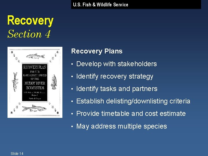 U. S. Fish & Wildlife Service Recovery Section 4 Recovery Plans Slide 14 •