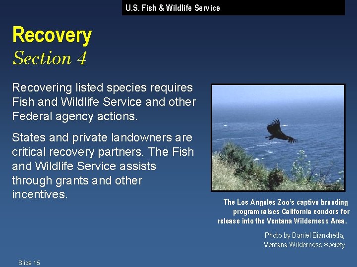 U. S. Fish & Wildlife Service Recovery Section 4 Recovering listed species requires Fish