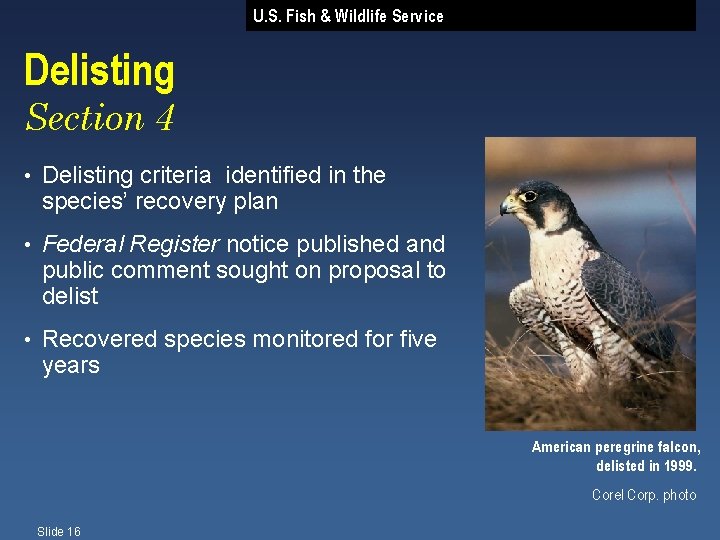 U. S. Fish & Wildlife Service Delisting Section 4 • Delisting criteria identified in