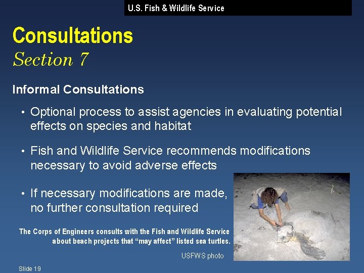 U. S. Fish & Wildlife Service Consultations Section 7 Informal Consultations • Optional process