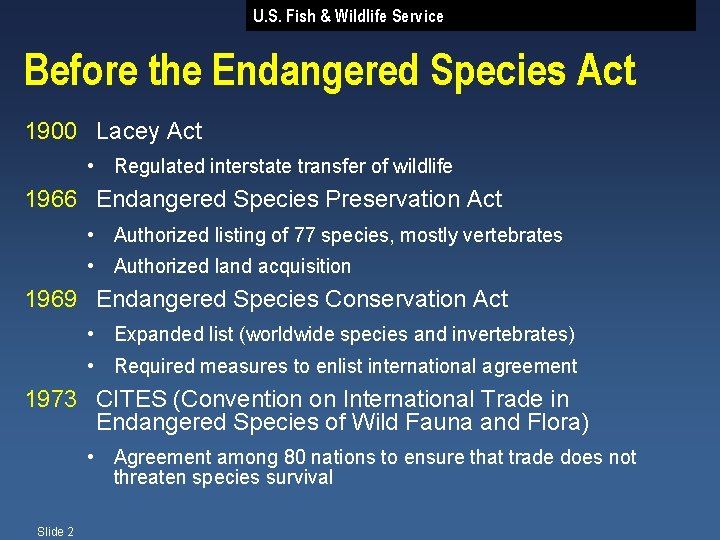 U. S. Fish & Wildlife Service Before the Endangered Species Act 1900 Lacey Act