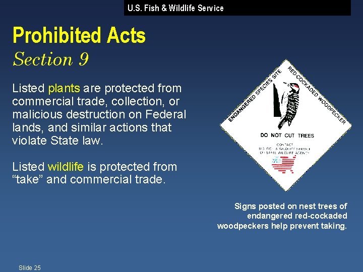 U. S. Fish & Wildlife Service Prohibited Acts Section 9 Listed plants are protected