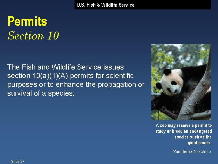 U. S. Fish & Wildlife Service Permits Section 10 The Fish and Wildlife Service